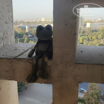 фото из отзыва ID 2733327