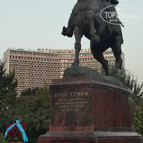 фото из отзыва ID 2733327