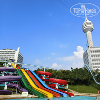 фото из отзыва ID 2733349