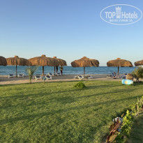 фото из отзыва ID 2733379