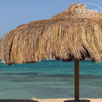 фото из отзыва ID 2733379