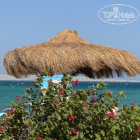 фото из отзыва ID 2733379