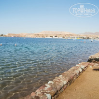 фото из отзыва ID 2733391