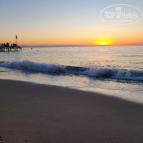 фото из отзыва ID 2733402