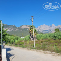 фото из отзыва ID 2733402