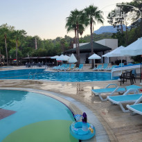 фото из отзыва ID 2733402