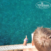 фото из отзыва ID 2733402