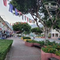 фото из отзыва ID 2733402