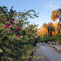 фото из отзыва ID 2733402