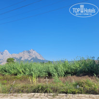 фото из отзыва ID 2733402