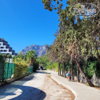 фото из отзыва ID 2733402