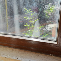 фото из отзыва ID 2733405