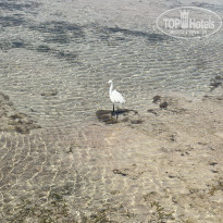 фото из отзыва ID 2733410