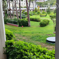 фото из отзыва ID 2733411