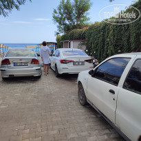 фото из отзыва ID 2733408