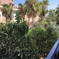 фото из отзыва ID 2733408