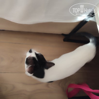 фото из отзыва ID 2733408