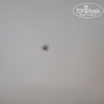 фото из отзыва ID 2733408