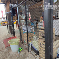 фото из отзыва ID 2733408