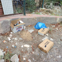 фото из отзыва ID 2733408