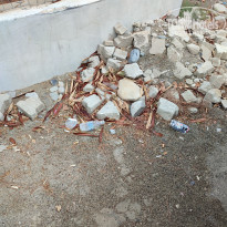 фото из отзыва ID 2733408