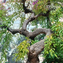 фото из отзыва ID 2731701