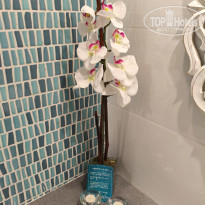 фото из отзыва ID 2733417