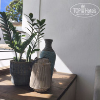 фото из отзыва ID 2733420