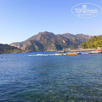 фото из отзыва ID 2733435