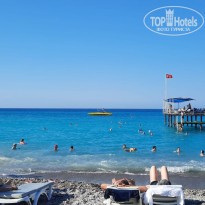 фото из отзыва ID 2733441