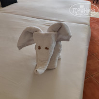 фото из отзыва ID 2733452