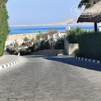 фото из отзыва ID 2733452