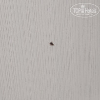 фото из отзыва ID 2733455