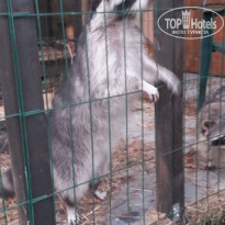 фото из отзыва ID 2733455