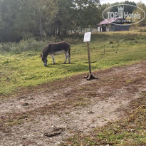 фото из отзыва ID 2733455