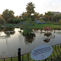 фото из отзыва ID 2733482