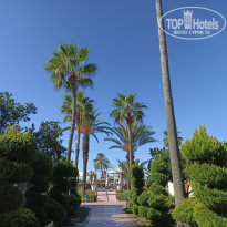 фото из отзыва ID 2733482