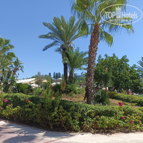 фото из отзыва ID 2733482