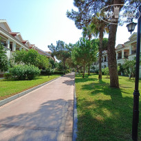 фото из отзыва ID 2733482