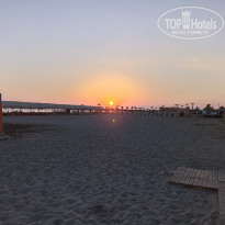 фото из отзыва ID 2733482