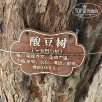 фото из отзыва ID 2733478