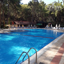 фото из отзыва ID 2733503