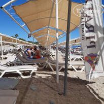 фото из отзыва ID 2733503