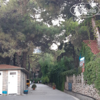 фото из отзыва ID 2733503