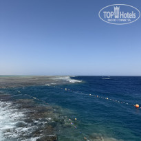 фото из отзыва ID 2733505