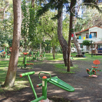 фото из отзыва ID 2733495