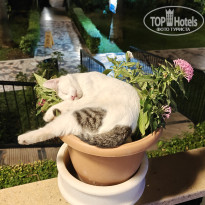 фото из отзыва ID 2733495