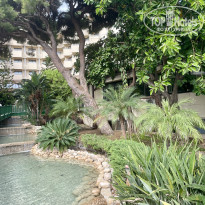 фото из отзыва ID 2733524