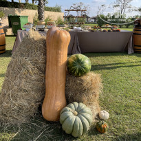 фото из отзыва ID 2733524