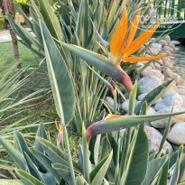 фото из отзыва ID 2733524